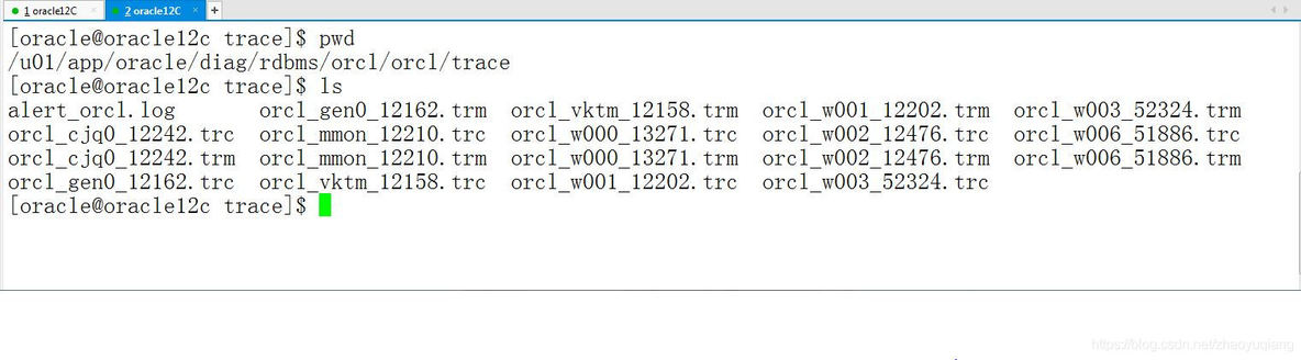 【赵渝强老师】使用Oracle的跟踪文件_oracle_03