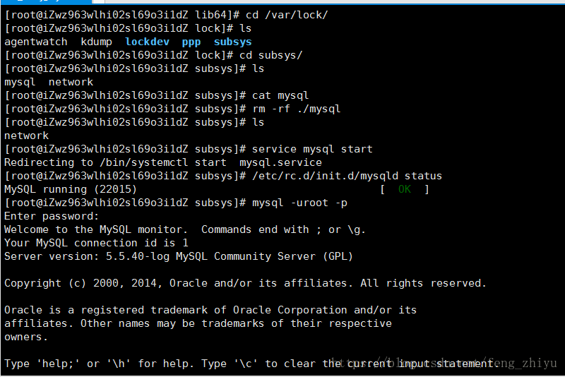 Wordpress博客访问错误Error establishing a database connection解决方法_经验分享_04