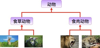 Java面向对象基础_java