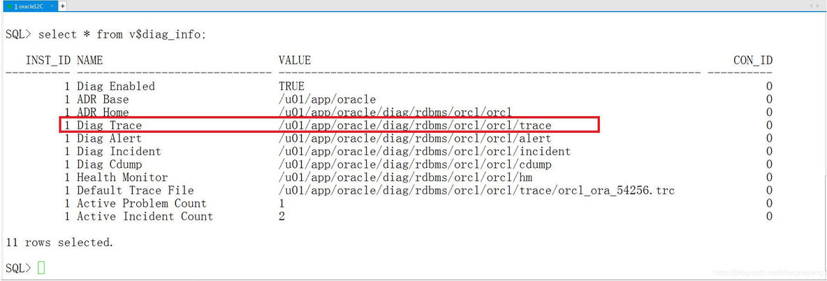 【赵渝强老师】使用Oracle的跟踪文件_sql_02