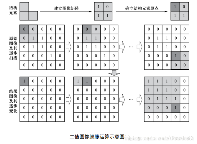 【水果检测】基于形态学检测水果大小matlab源码含GUI_matlab_04