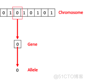 【TSP问题】基于遗传算法求解多旅行商问题matlab源码含GUI_matlab_02