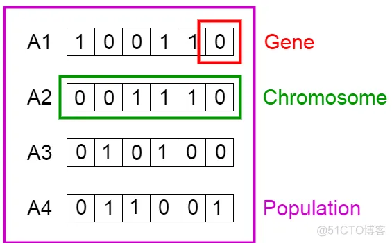 【TSP问题】基于遗传算法求解多旅行商问题matlab源码含GUI_matlab_05
