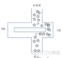 【路径规划】基于蚁群算法和匈牙利算法的二维多无人机路径规划matlab源码_matlab_02