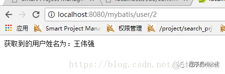 SpringBoot+MyBatis+Mysql整合详细步骤_springboot_06