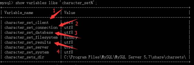 史上最简单的MySQL 教程，看完不会你来找我！_MySQL_04