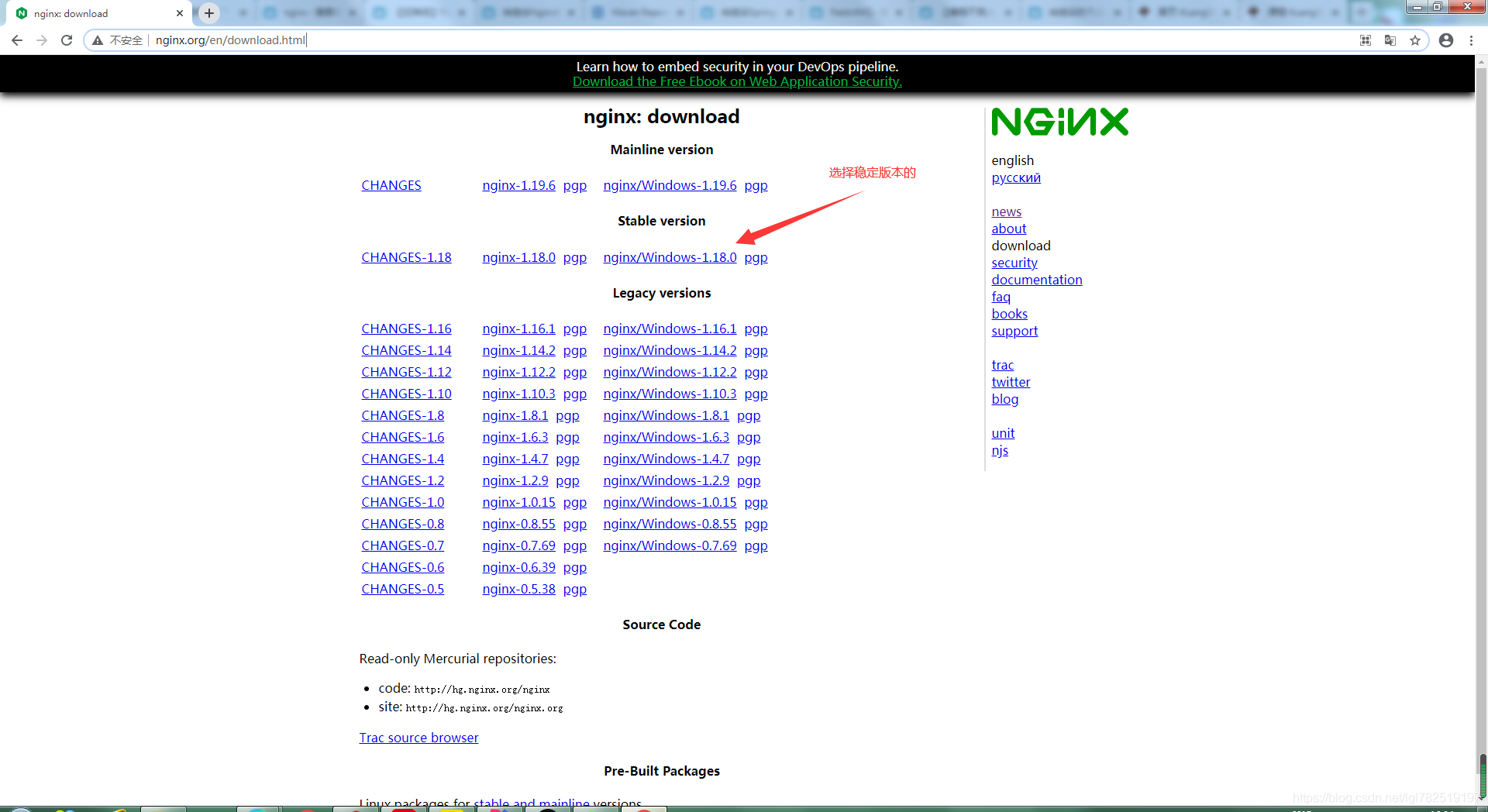 nginx，一个高性能和反向代理服务器_Nginx