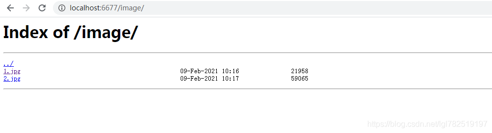 nginx，一个高性能和反向代理服务器_反向代理_20