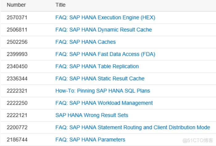 SAP HANA Hint简介_sap_10