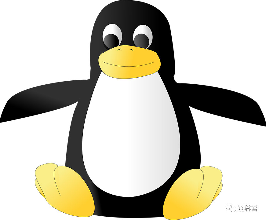 linux常用的命令行_命令行