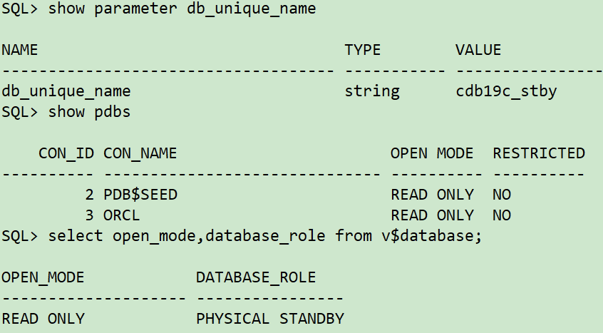 手把手教你DBCA搭建Oracle ADG_ADG_24