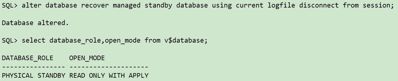 手把手教你DBCA搭建Oracle ADG_新星计划_27