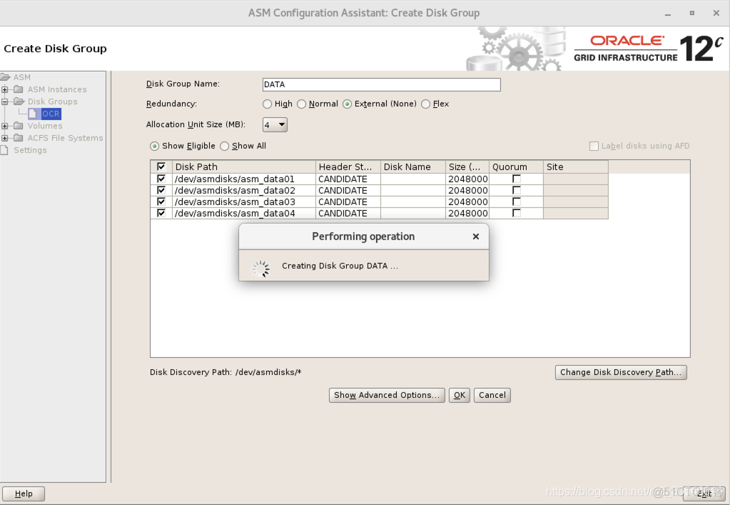 ORACLE12CR2 RAC安装部署（REDHAT7.6）_RAC_37