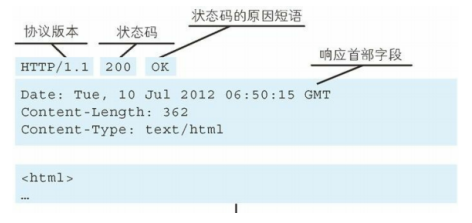 【图解Http 学习摘要】三、HTTP 协议基础、四次挥手_web开发_02