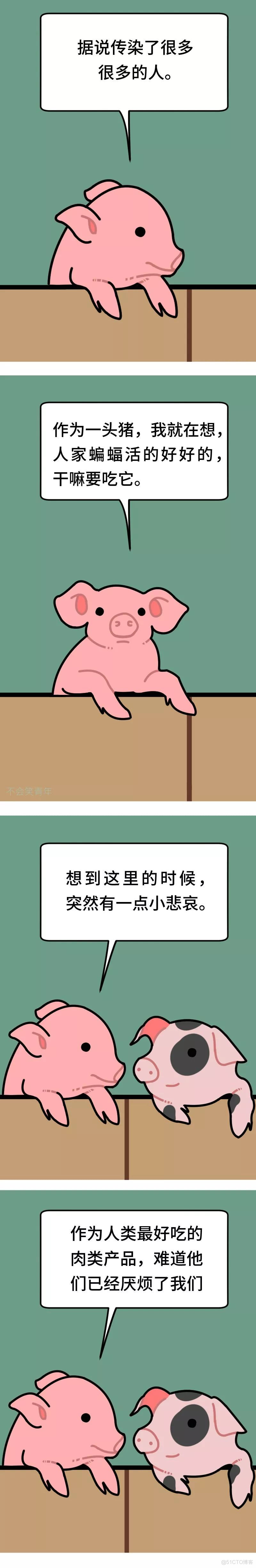 如果我是一头猪！_如果我是一头猪 _04