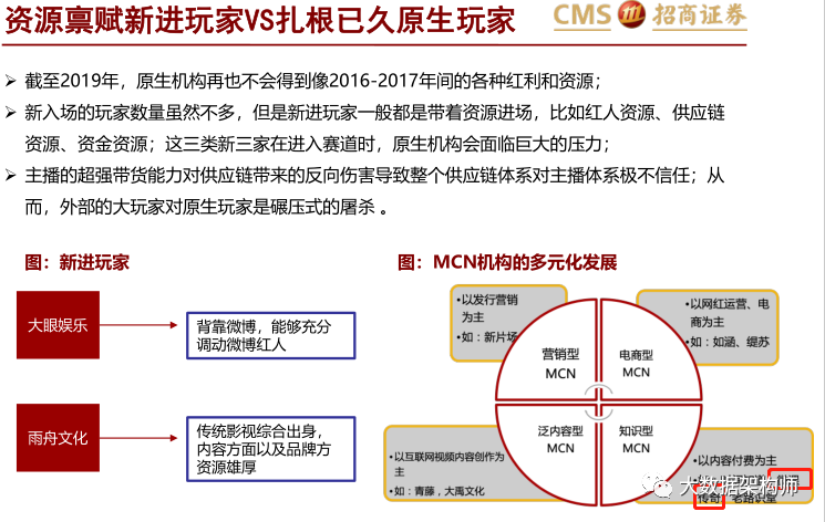 【报告解读】罗永浩看完这个报告就去做直播了_大数据_14