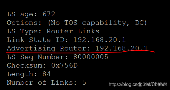 【计算机网络原理·实验·第六章】搭建动态路由环境-OSPF_计算机_16