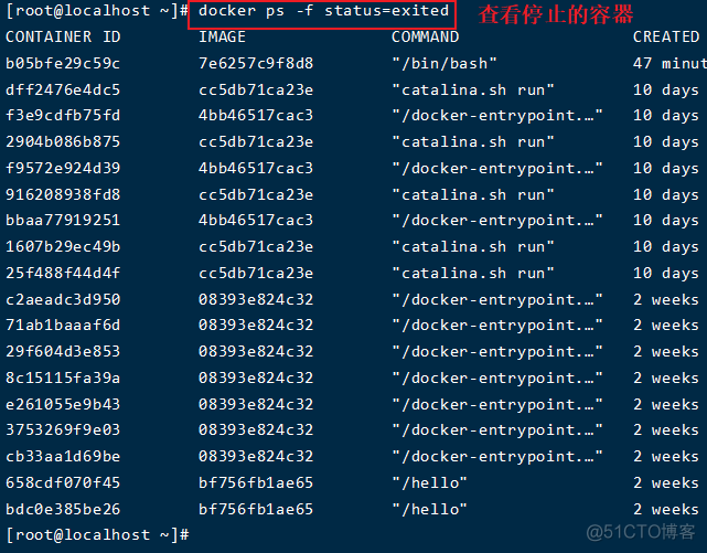 久等了！Docker容器常用命令_编程语言_08