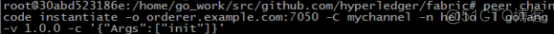 2.07 hyperledger fabric链码案例_GO语言_02