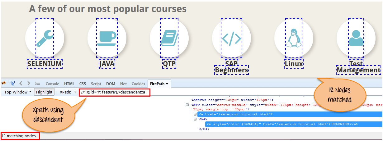 selenium之xpath语法总结_xml_20