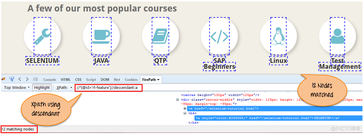 selenium之xpath语法总结_xpath_20