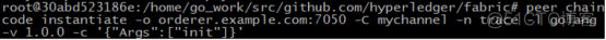 2.07 hyperledger fabric链码案例_GO语言_16