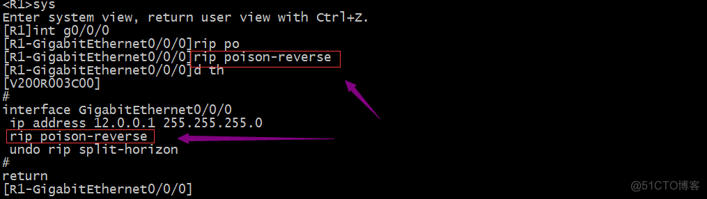 HCNA Routing&Switching之RIP防环机制_水平分割_14