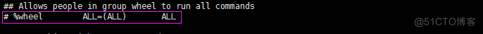 sudo权限_Linux_02