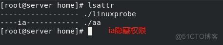 linux隐藏权限的设置及文件的访问控制列表_Linux隐藏权限_03