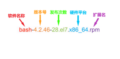 Linux的安装及管理程序_数据库_06