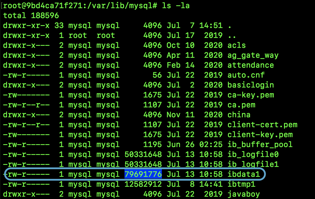 MySQL 中的共享表空间与独立表空间_mysql_03