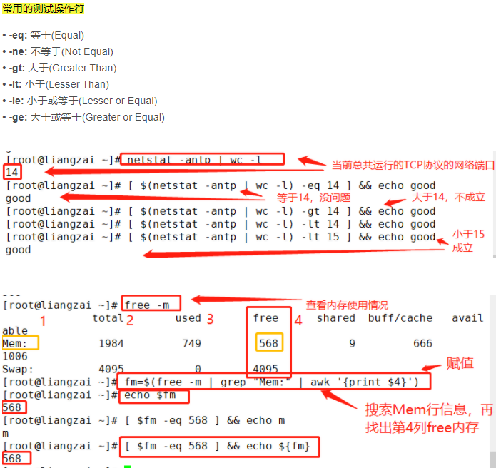 if语句 条件测试 shell编程之条件语句_字符串比较_07