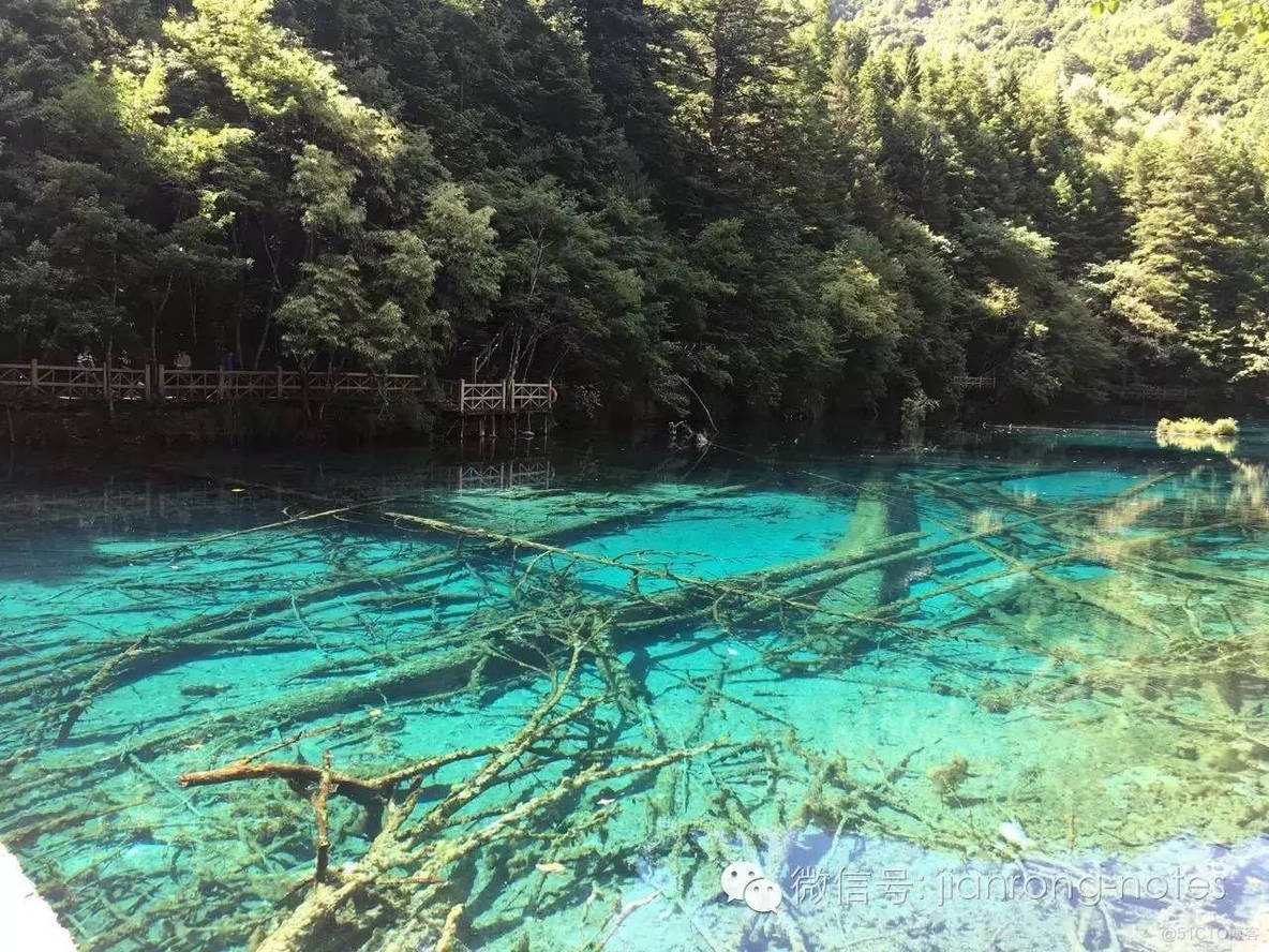 九寨沟一日游归来(r9笔记第44天)_旅游_07