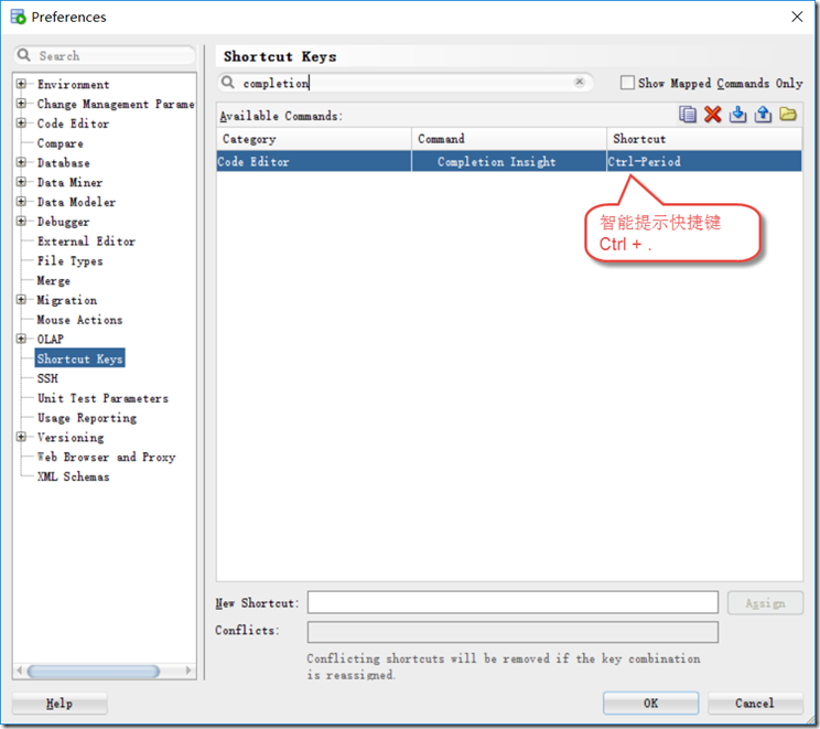 Oracle SQL Developer - 智能提示_Oracle SQL Developer_02