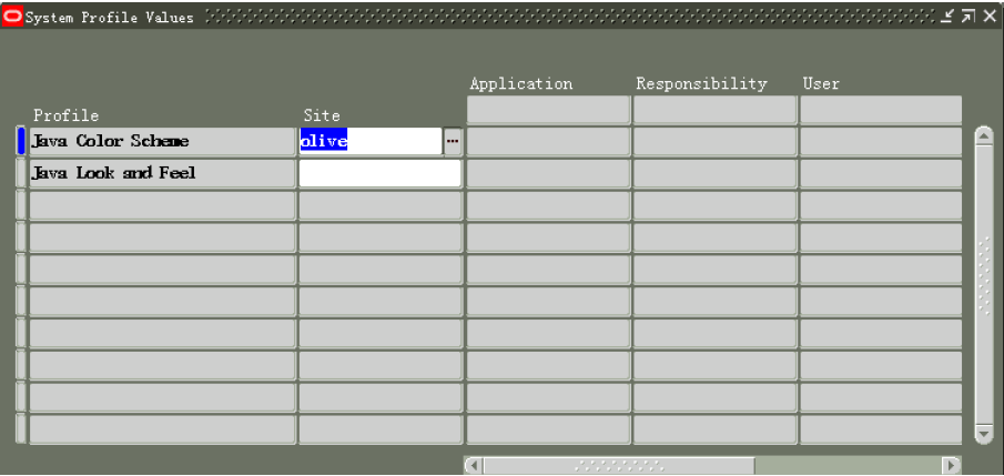 Oralce EBS R12 FORM显示配色方案_EBS_07