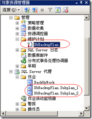 使用SQL Server维护计划实现数据库定时自动备份_SQL Server_10