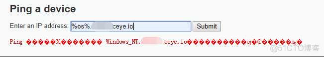 渗透测试中dns log的使用_ip地址_21