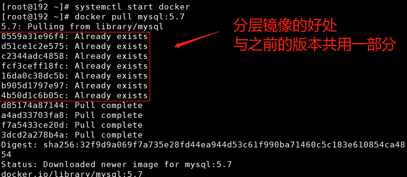 Docker学习笔记(基础篇)_Docker_14