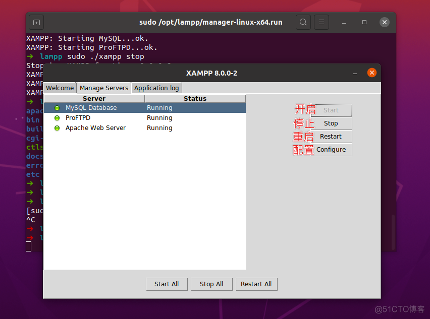 在Ubuntu20.04搭建WordPress开发环境_Word_07