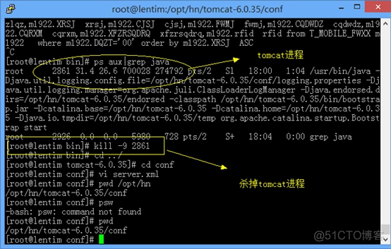 Linux下部署tomcat及tomcat war包应用程序_Linux_04