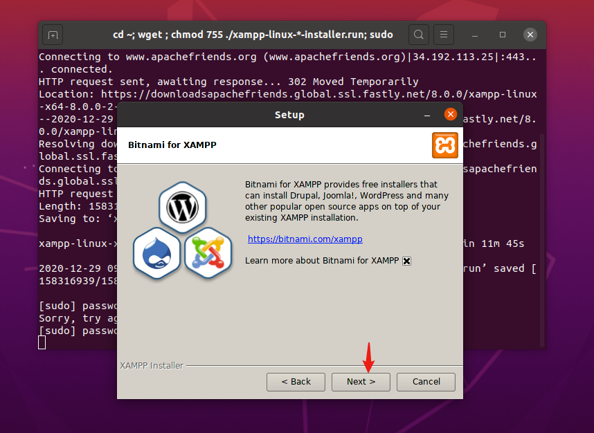 在Ubuntu20.04搭建WordPress开发环境_Word_04