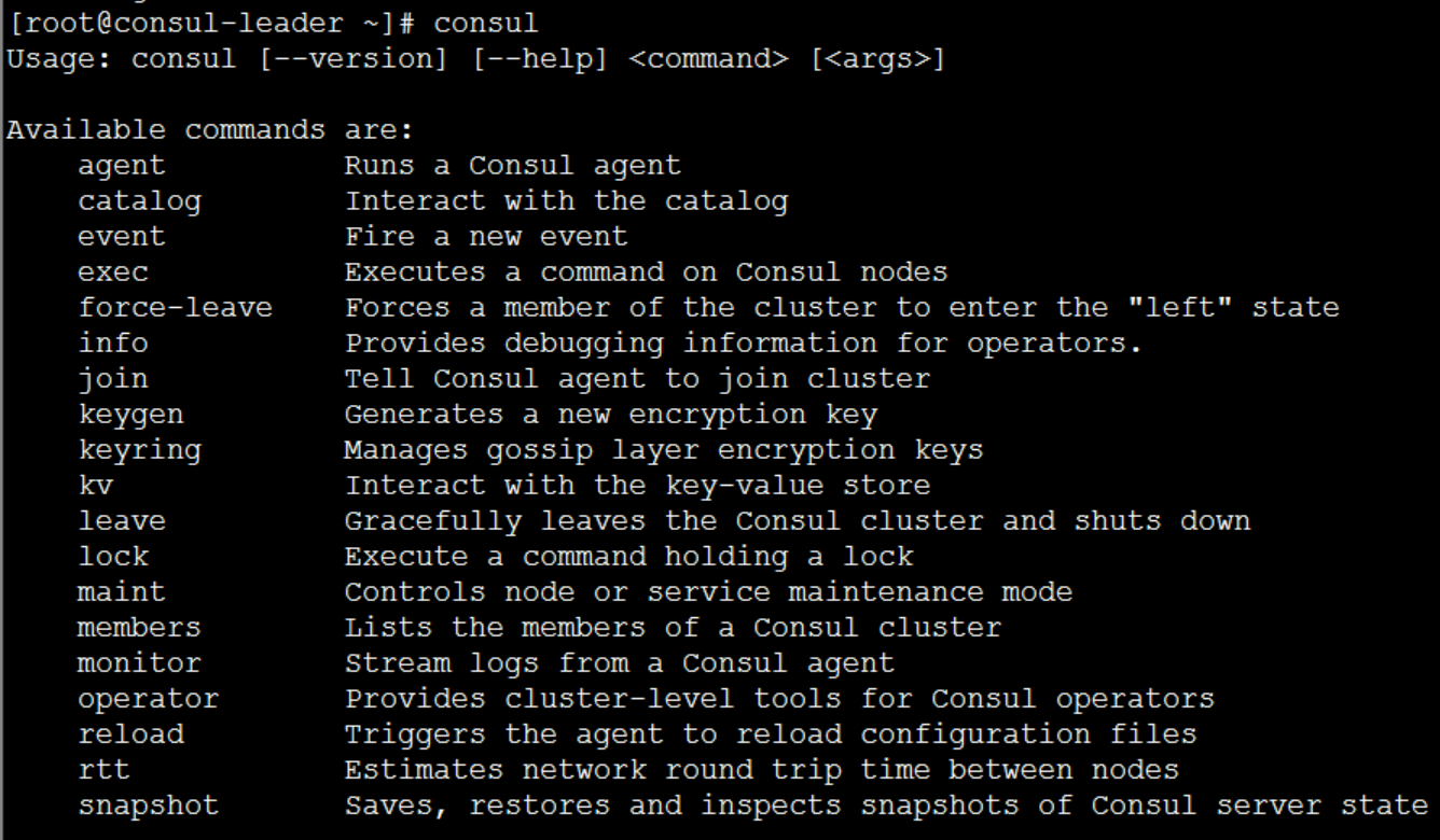 .NET Core微服务之基于Consul实现服务治理_分享_06