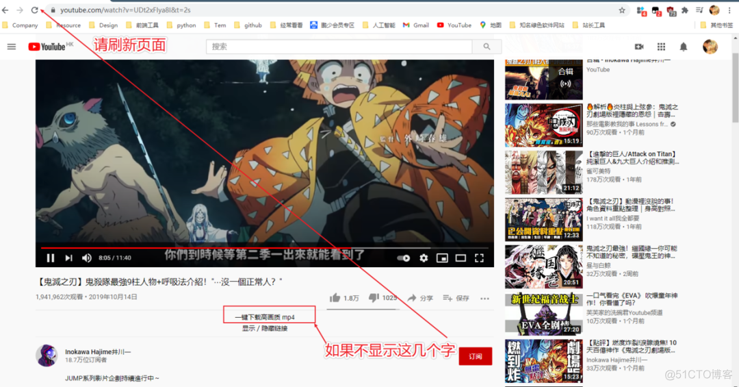 《Chrome插件英雄榜》第89篇更新！本地YouTube下载器实现被Google禁止的功能_插件_02