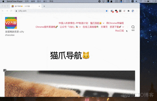 《Chrome插件英雄榜》第84篇更新！《Web for TikTok》用Chrome刷海外版抖音TikTok下载短视频_插件_03