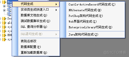 如何使用Database2Sharp进行代码生成_编程_02