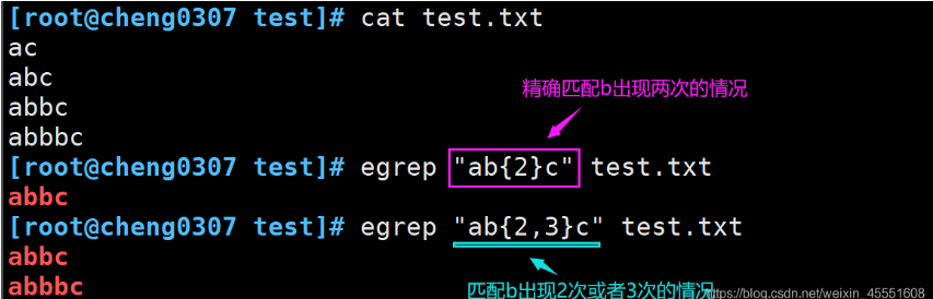 Shell脚本之——正则表达式的详解_数据_15