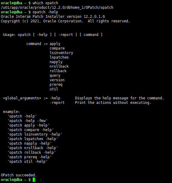 Oracle Upgrade 12c至19c_oracle_14