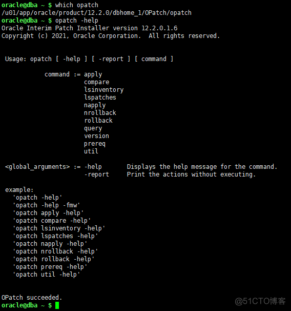 Oracle Upgrade 12c至19c_jar_14