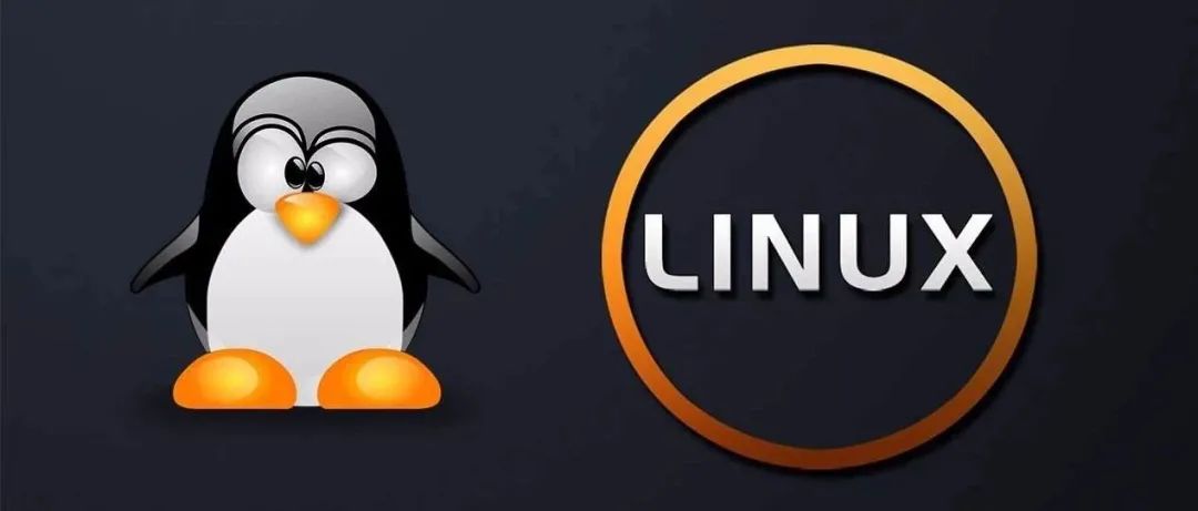 Linux入门进阶 - 如何在Linux中使用export命令_Linux