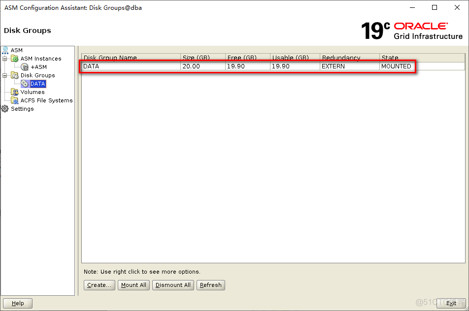 Oracle 19c Standalone Server安装_bash_43